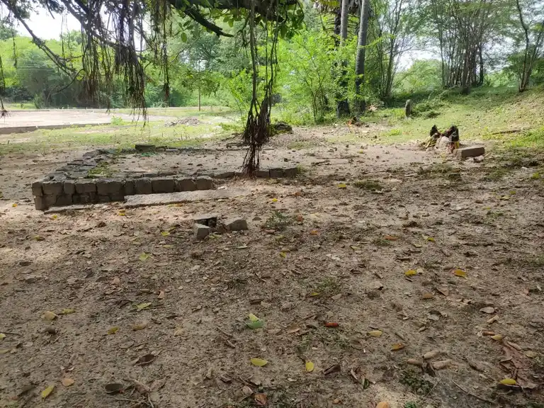 Arulmigu Kariyamaanikkaswamy Temple, Idaiyar - 614629 அருள்மிகு கரியமாணிக்கசுவாமி திருக்கோயில், Idaiyar - 614629, Pudukkottai - Ancient Temple Architecture and History Image 2