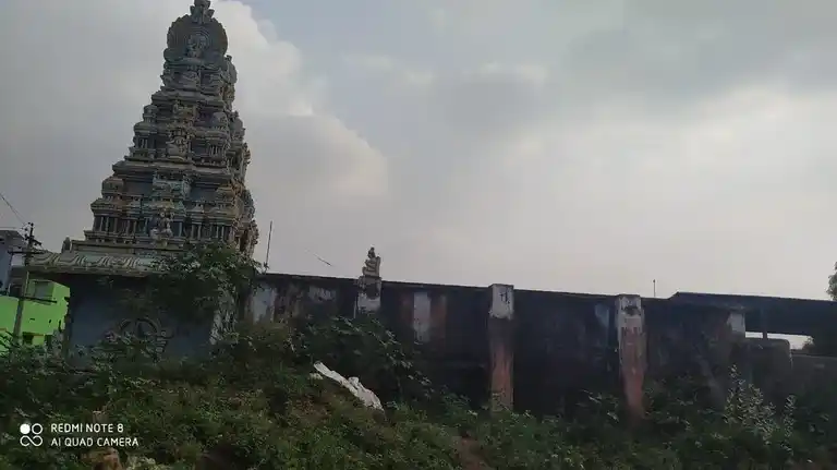 Arulmigu Kariyamanika Perumal Temple, Kadayanallur - 627751 அருள்மிகு கரிய மாணிக்க பெருமாள் திருக்கோயில், Kadayanallur - 627751, Tenkasi - Ancient Temple Architecture and History Image 5