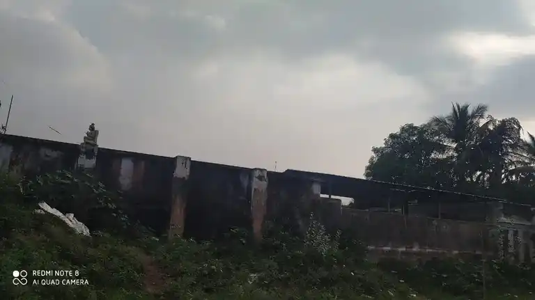 Arulmigu Kariyamanika Perumal Temple, Kadayanallur - 627751 அருள்மிகு கரிய மாணிக்க பெருமாள் திருக்கோயில், Kadayanallur - 627751, Tenkasi - Ancient Temple Architecture and History Image 6