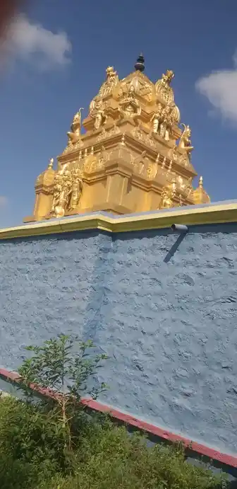 Arulmigu Kariyamanikka Perumal Temple, Maganipattu - 631001 அருள்மிகு கரியமானிக்கப்பெருமாள் திருக்கோயில், மாகாணிப்பட்டு - 631001, Ranipet - Ancient Temple Architecture and History Image 3