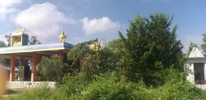 Arulmigu Kariyamanikka Perumal Temple, Maganipattu - 631001 அருள்மிகு கரியமானிக்கப்பெருமாள் திருக்கோயில், மாகாணிப்பட்டு - 631001, Ranipet - Ancient Temple Architecture and History Image 4