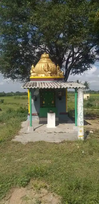 Arulmigu Kariyamanikka Perumal Temple, Maganipattu - 631001 அருள்மிகு கரியமானிக்கப்பெருமாள் திருக்கோயில், மாகாணிப்பட்டு - 631001, Ranipet - Ancient Temple Architecture and History Image 6