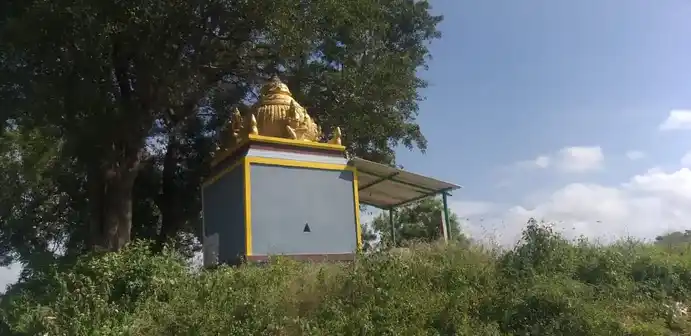 Arulmigu Kariyamanikka Perumal Temple, Maganipattu - 631001 அருள்மிகு கரியமானிக்கப்பெருமாள் திருக்கோயில், மாகாணிப்பட்டு - 631001, Ranipet - Ancient Temple Architecture and History Image 7