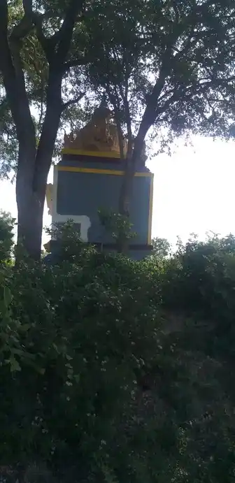 Arulmigu Kariyamanikka Perumal Temple, Maganipattu - 631001 அருள்மிகு கரியமானிக்கப்பெருமாள் திருக்கோயில், மாகாணிப்பட்டு - 631001, Ranipet - Ancient Temple Architecture and History Image 9