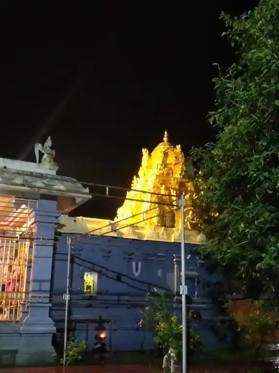 Arulmigu Kariyamanikkaperumal Temple, Purisai - 631502 அருள்மிகு கரியமாணிக்கப் பெருமாள் திருக்கோயில், Purisai, Purisai - 631502, Kancheepuram - Ancient Temple Architecture and History Image 2