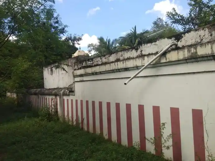 Arulmigu Kariyamanikkaperumal Temple, Vilagam - 603405 அருள்மிகு கரியமாணிக்கப்பெருமாள் திருக்கோயில், விளாகம் - 603405, Chengalpattu - Ancient Temple Architecture and History Image 2