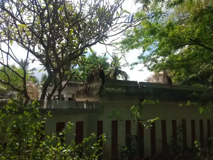 Arulmigu Kariyamanikkaperumal Temple, Vilagam - 603405 அருள்மிகு கரியமாணிக்கப்பெருமாள் திருக்கோயில், விளாகம் - 603405, Chengalpattu - Ancient Temple Architecture and History Image 3