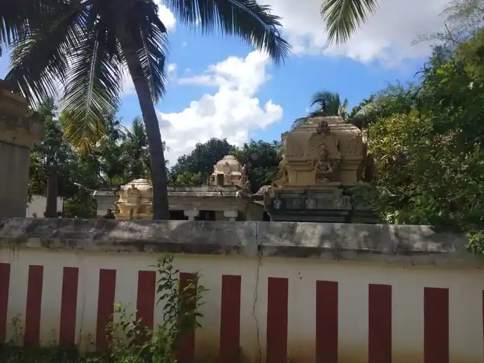 Arulmigu Kariyamanikkaperumal Temple, Vilagam - 603405 அருள்மிகு கரியமாணிக்கப்பெருமாள் திருக்கோயில், விளாகம் - 603405, Chengalpattu - Ancient Temple Architecture and History Image 4