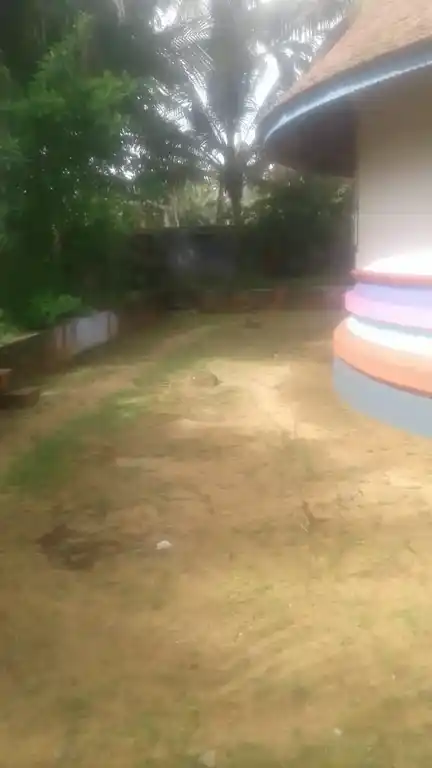 Arulmigu Kariyamanikkathazhwar Temple, Thippiramalai, Paloor - 629177 Arulmigu Kariyamanikkathazhwar Temple, Thippiramalai, பலூர் - 629177, Kanyakumari - Ancient Temple Architecture and History Image 7