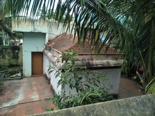 Arulmigu Kariyamanikkazhwar Temple, Kariyamanikkapuram, Nagercoil - 629002 Arulmigu Kariyamanikkazhwar Temple, Kariyamanikkapuram, நாகர்கோயில் - 629002, Kanyakumari - Ancient Temple Architecture and History Image 2