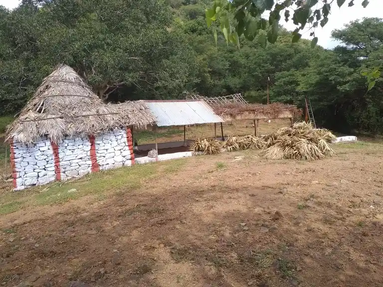 Arulmigu Kariyaperumal Temple, Tho. Pachudayampalayam - 637406