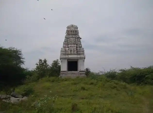 Arulmigu Kariyavaradarajaperumal Temple, Erumbur - 604404
