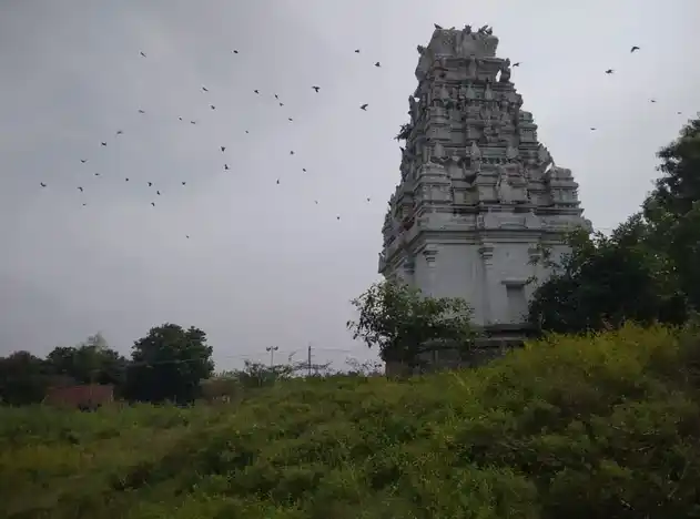Arulmigu Kariyavaradarajaperumal Temple, Erumbur - 604404 அருள்மிகு கரியவரதராஜபெருமாள் திருக்கோயில், Erumbur - 604404, Tiruvannamalai - Ancient Temple Architecture and History Image 2