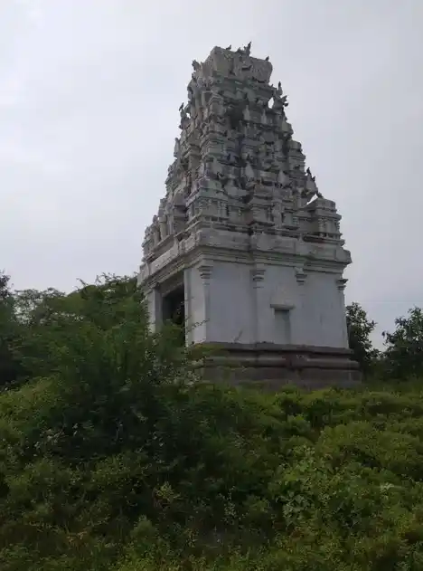 Arulmigu Kariyavaradarajaperumal Temple, Erumbur - 604404 அருள்மிகு கரியவரதராஜபெருமாள் திருக்கோயில், Erumbur - 604404, Tiruvannamalai - Ancient Temple Architecture and History Image 5