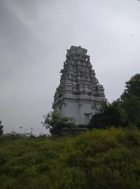 Arulmigu Kariyavaradarajaperumal Temple, Erumbur - 604404 அருள்மிகு கரியவரதராஜபெருமாள் திருக்கோயில், Erumbur - 604404, Tiruvannamalai - Ancient Temple Architecture and History Image 7