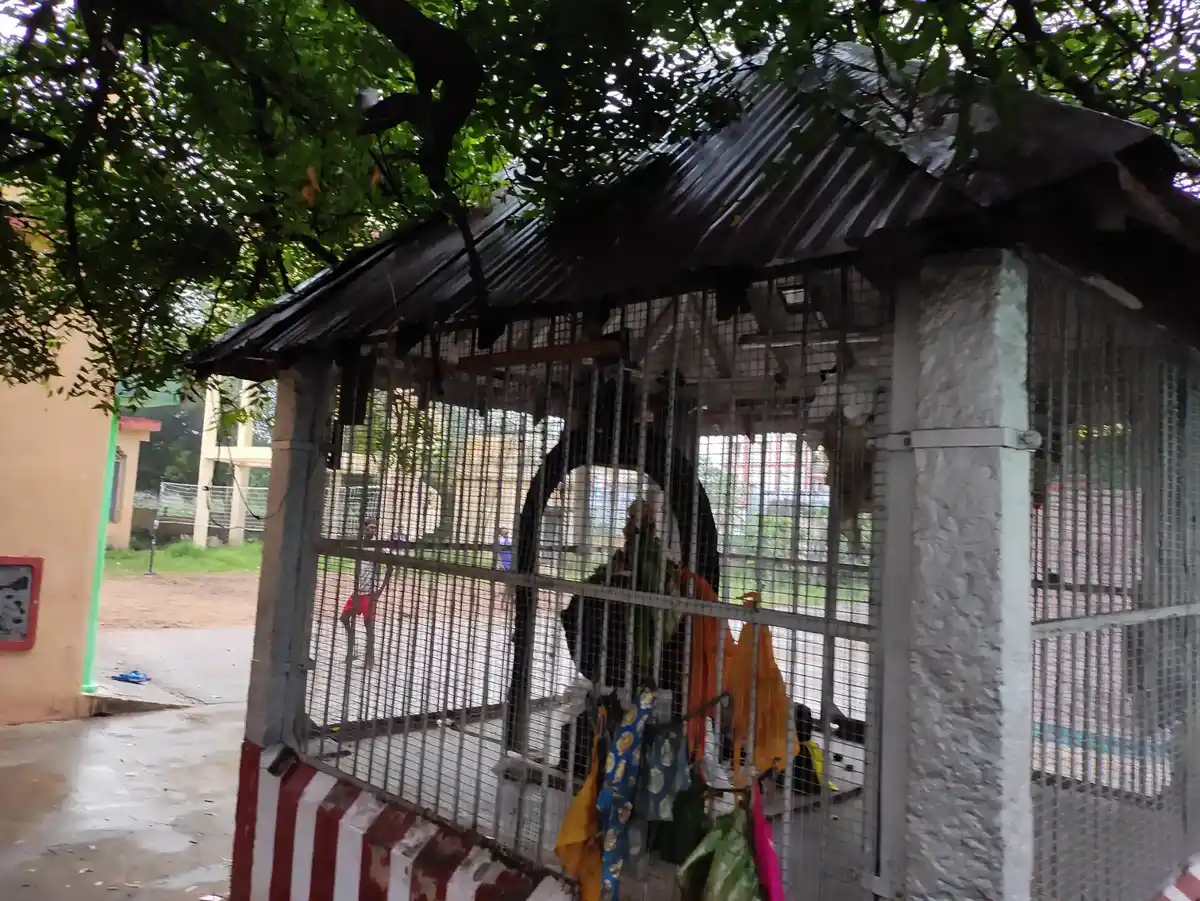 Arulmigu Karpaga Vinayagar Temple, Ammaiyanaiyakkanoor - 624201 அருள்மிகு கற்பக விநாயகர் திருக்கோயில், Ammaiyanaiyakkanoor - 624201, Dindigul - Ancient Temple Architecture and History Image 4