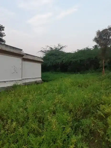 Arulmigu Karpaga Vinayagar Temple, Sembedu - 632002 அருள்மிகு கற்பக விநாயகர் திருக்கோயில், செம்பேடு - 632002, Ranipet - Ancient Temple Architecture and History Image 2