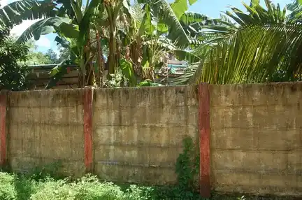 Arulmigu Karpaga Vinayagar Temple, Sendhankudi - 609001 Arulmigu Karpaga Vinayagar Temple, Sendhankudi - 609001, Mayiladuthurai - Ancient Temple Architecture and History Image 4