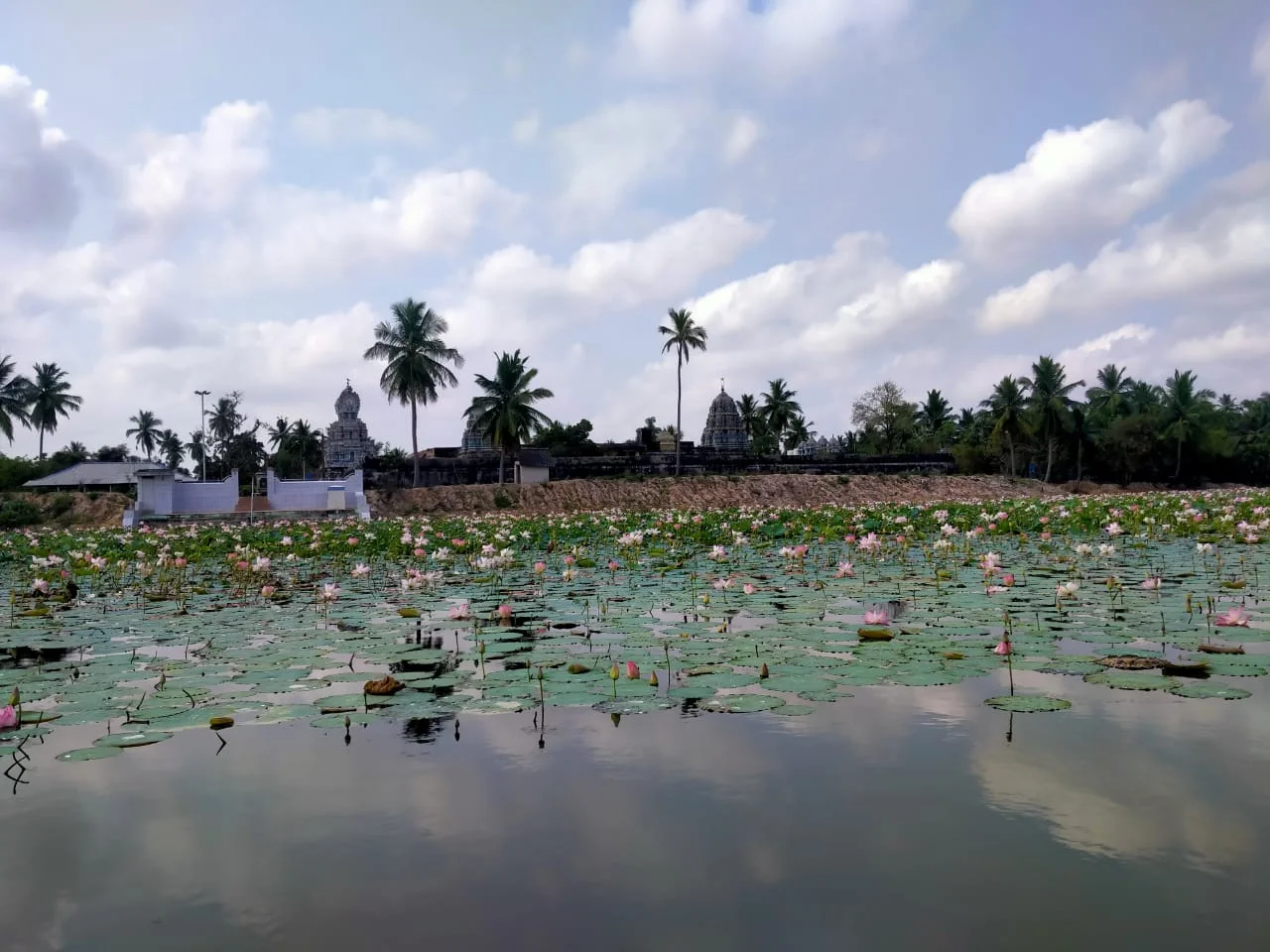 அருள்மிகு கற்பகநாதசுவாமி திருக்கோயில், கற்பகநாதர்குளம் - 614703 - Main View