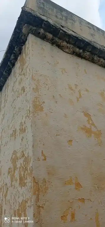 Arulmigu Karpagar Vinayagar Temple, Parivallikottai - 628717 அருள்மிகு கற்பக விநாயகர் திருக்கோயில், Parivallikottai - 628717, Thoothukudi - Ancient Temple Architecture and History Image 3