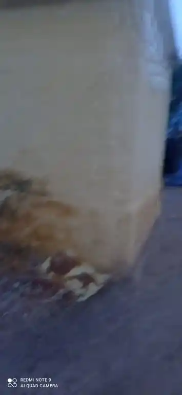 Arulmigu Karpagar Vinayagar Temple, Parivallikottai - 628717 அருள்மிகு கற்பக விநாயகர் திருக்கோயில், Parivallikottai - 628717, Thoothukudi - Ancient Temple Architecture and History Image 4