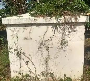 Arulmigu Karpagavinayagar Temple, Inside The Village, Ikkadu - 602001 அருள்மிகு கற்பக விநாயகர் திருக்கோயில், Inside The Village, Ikkadu - 602001, Tiruvallur - Ancient Temple Architecture and History Image 4