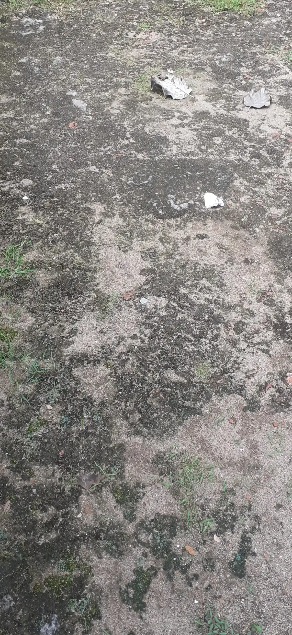 Arulmigu Karpagavinayagar Temple, Kadambur, Kadambur - 614404 அருள்மிகு கற்பகவிநாயகர் திருக்கோயில், கடம்பூர், கடம்பூர் - 614404, Thiruvarur - Ancient Temple Architecture and History Image 5