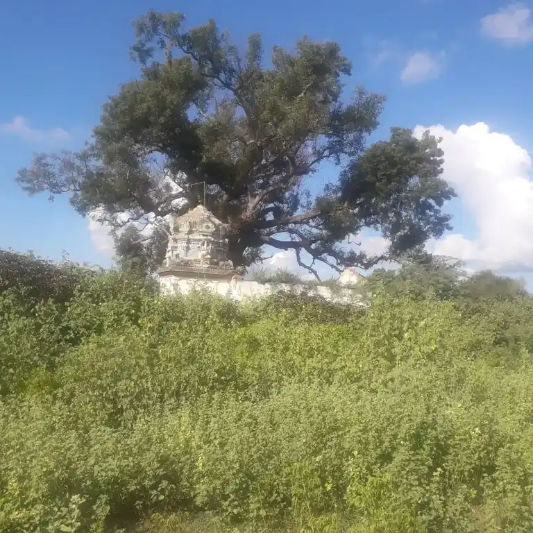 Arulmigu Karpagavinayagar Temple, Sevvaipatti - 622302