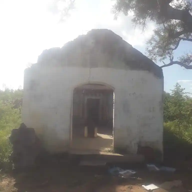 Arulmigu Karpagavinayagar Temple, Sevvaipatti - 622302 அருள்மிகு கற்பக விநாயகர் திருக்கோயில், Sevvaipatti - 622302, Pudukkottai - Ancient Temple Architecture and History Image 2