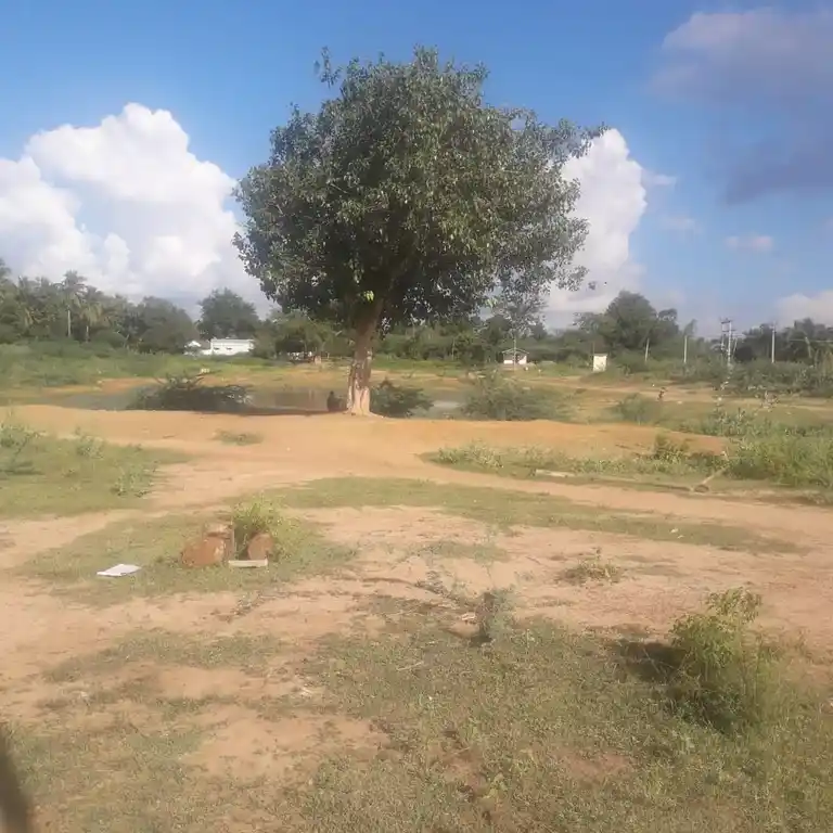 Arulmigu Karpagavinayagar Temple, Sevvaipatti - 622302 அருள்மிகு கற்பக விநாயகர் திருக்கோயில், Sevvaipatti - 622302, Pudukkottai - Ancient Temple Architecture and History Image 5