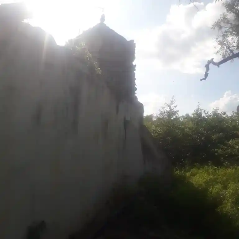 Arulmigu Karpagavinayagar Temple, Sevvaipatti - 622302 அருள்மிகு கற்பக விநாயகர் திருக்கோயில், Sevvaipatti - 622302, Pudukkottai - Ancient Temple Architecture and History Image 7