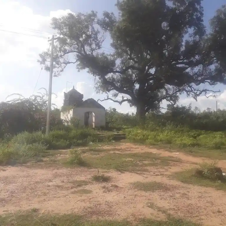 Arulmigu Karpagavinayagar Temple, Sevvaipatti - 622302 அருள்மிகு கற்பக விநாயகர் திருக்கோயில், Sevvaipatti - 622302, Pudukkottai - Ancient Temple Architecture and History Image 8