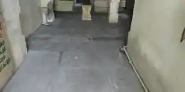 Arulmigu Karpagavinayagar Temple, Tirunelveli - 627006 அருள்மிகு கற்பக விநாயகர் திருக்கோயில், Tirunelveli - 627006, Tirunelveli - Ancient Temple Architecture and History Image 4