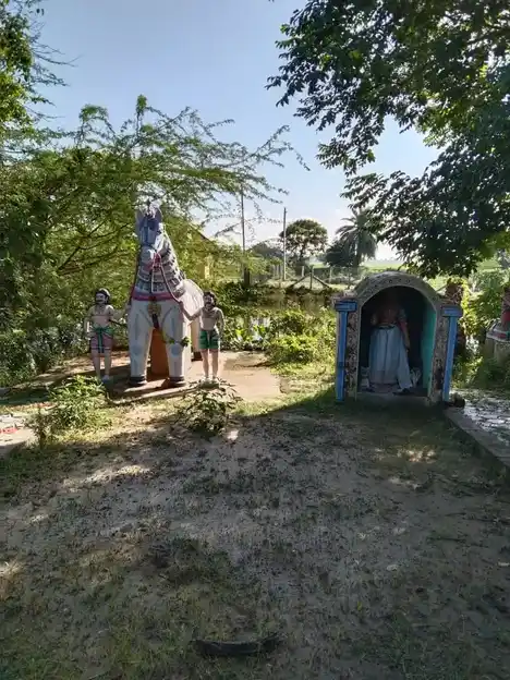 Arulmigu Karubudaiya Iyyanar Temple, Devathanam - 614705 அருள்மிகு கரும்புடைய அய்யனார் திருக்கோயில், Devathanam - 614705, Thiruvarur - Ancient Temple Architecture and History Image 3