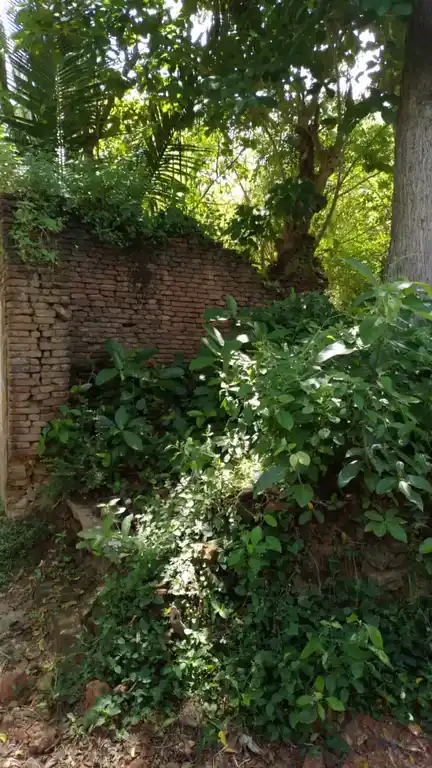 Arulmigu Karugamanikaswamytemple, Olayamputhur - 609117 ArulmiguKarugamanikaswamyTemple, ஓலையாம்புத்தூர் - 609117, Mayiladuthurai - Ancient Temple Architecture and History Image 5