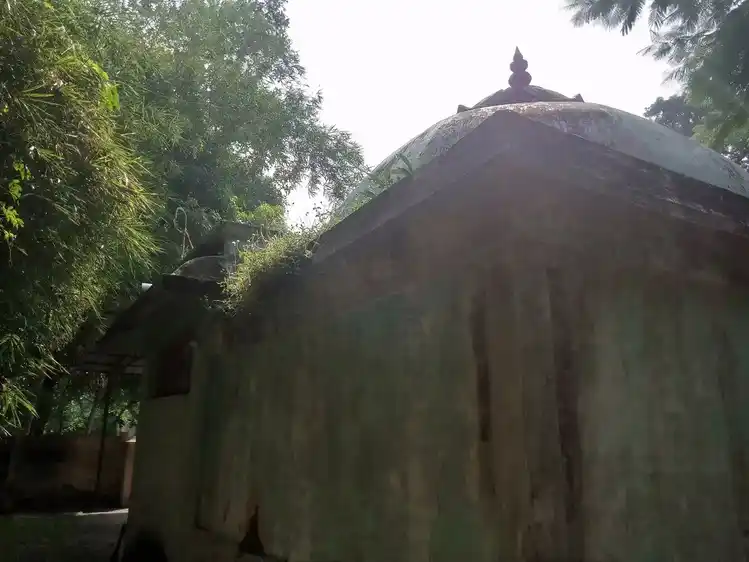 Arulmigu Karugamanikka Perumal Temple, Nedungulam - 609403 அருள்மிகு கருகமாணிக்கபெருமாள் திருக்கோயில், Nedungulam - 609403, Thiruvarur - Ancient Temple Architecture and History Image 3