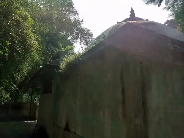 Arulmigu Karugamanikka Perumal Temple, Nedungulam - 609403 அருள்மிகு கருகமாணிக்கபெருமாள் திருக்கோயில், Nedungulam - 609403, Thiruvarur - Ancient Temple Architecture and History Image 4