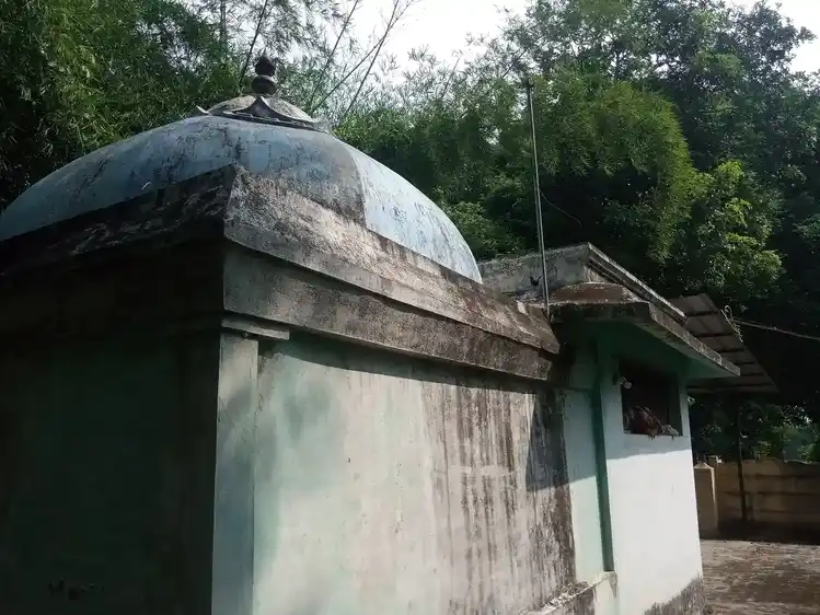 Arulmigu Karugamanikka Perumal Temple, Nedungulam - 609403 அருள்மிகு கருகமாணிக்கபெருமாள் திருக்கோயில், Nedungulam - 609403, Thiruvarur - Ancient Temple Architecture and History Image 5