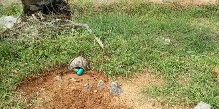 Arulmigu Karumagoundankulam Kannimaar Temple, Kudappam - 624706