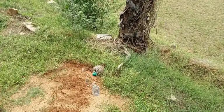 Arulmigu Karumagoundankulam Kannimaar Temple, Kudappam - 624706 அருள்மிகு கருமக்கவுண்டன்குளம் கன்னிமார் திருக்கோயில், Kudappam - 624706, Dindigul - Ancient Temple Architecture and History Image 3