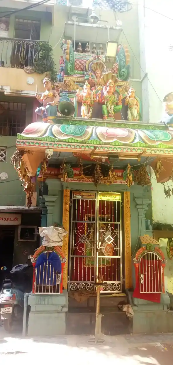 Arulmigu Karumari Amman Temple, Triplicane, Chennai - 600005 அருள்மிகு கருமாரியம்மன் திருக்கோயில், திருவல்லிக்கேணி, சென்னை - 600005, Chennai - Ancient Temple Architecture and History Image 3