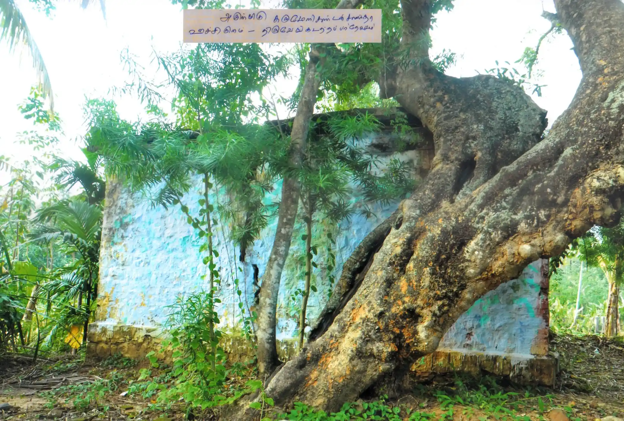 Arulmigu Karumeni Kandan Sastha Temple, Azhagiyapandipuram - 629851 Arulmigu Karumeni Kandan Sastha Temple, Azhagiyapandipuram - 629851, Kanyakumari - Ancient Temple Architecture and History Image 2