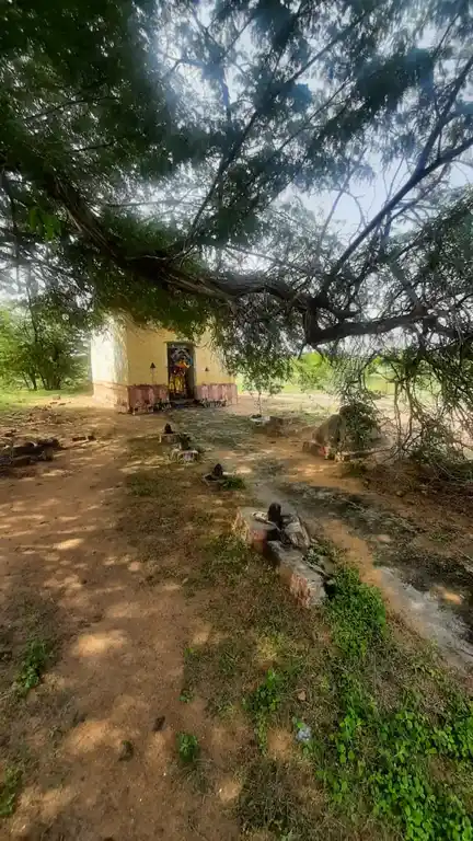 Arulmigu Karumeniyamman Temple, Kamuthi. - 623603 அருள்மிகு கருமேனியம்மன் திருக்கோயில், Kamuthi. - 623603, Ramanathapuram - Ancient Temple Architecture and History Image 5