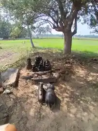 Arulmigu Karunaaiyudaiyar Sastha Temple, -, Veerakeralamputhur - 627861