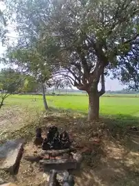 Arulmigu Karunaaiyudaiyar Sastha Temple, -, Veerakeralamputhur - 627861 அருள்மிகு கருணைவுடையார் சாஸ்தா திருக்கோயில், -, Veerakeralamputhur - 627861, Tenkasi - Ancient Temple Architecture and History Image 2