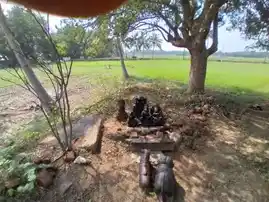 Arulmigu Karunaaiyudaiyar Sastha Temple, -, Veerakeralamputhur - 627861 அருள்மிகு கருணைவுடையார் சாஸ்தா திருக்கோயில், -, Veerakeralamputhur - 627861, Tenkasi - Ancient Temple Architecture and History Image 3