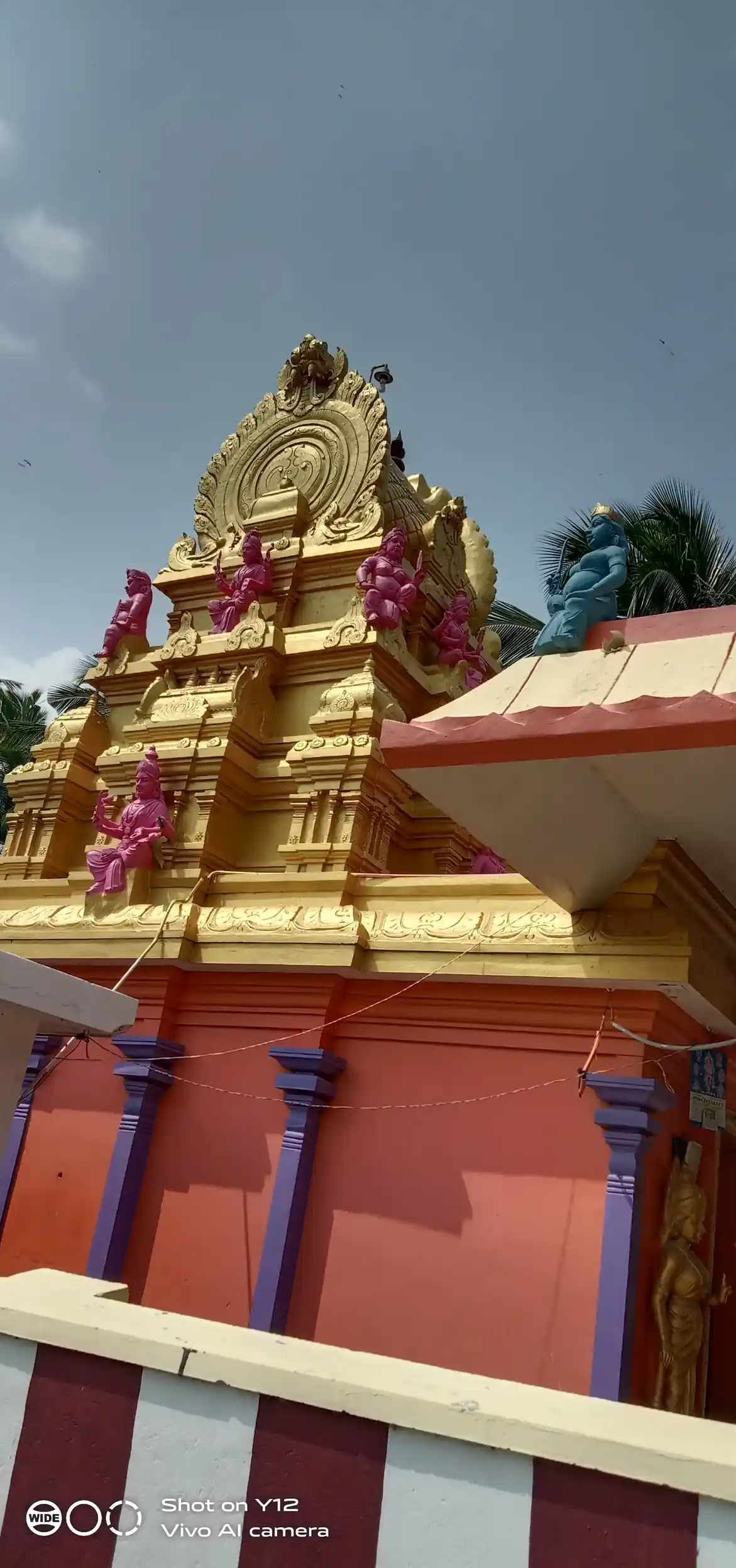 Arulmigu Karungaaliamman Temple, Kaniakulam - 629001 அருள்மிகு கருங்காளியம்மன் திருக்கோயில், Kaniakulam - 629001, Kanyakumari - Ancient Temple Architecture and History Image 2