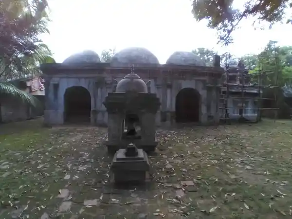 Arulmigu Karunyeswarar Temple, Krishnapuram - 612401 அருள்மிகு காருண்யேஸ்வரர் திருக்கோயில், Krishnapuram - 612401, Thanjavur - Ancient Temple Architecture and History Image 5