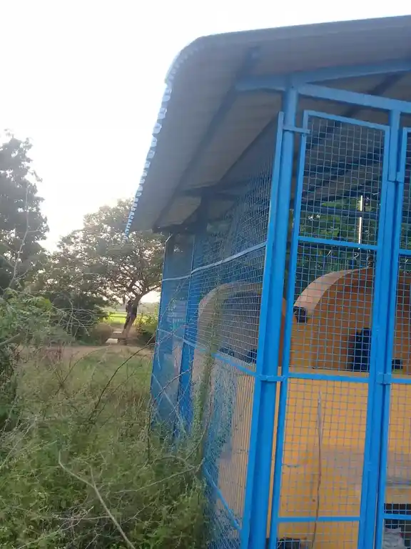 Arulmigu Karupanar Temple, Amabapoor - 621701 அருள்மிகு கருப்பணார் திருக்கோயில், Amabapoor - 621701, Ariyalur - Ancient Temple Architecture and History Image 3