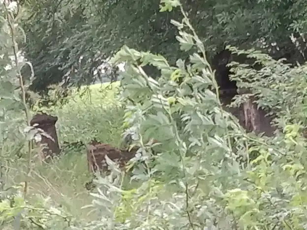 Arulmigu Karupanar Temple, Andipattakadu - 621701